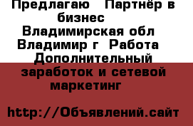Предлагаю : Партнёр в бизнес    - Владимирская обл., Владимир г. Работа » Дополнительный заработок и сетевой маркетинг   
